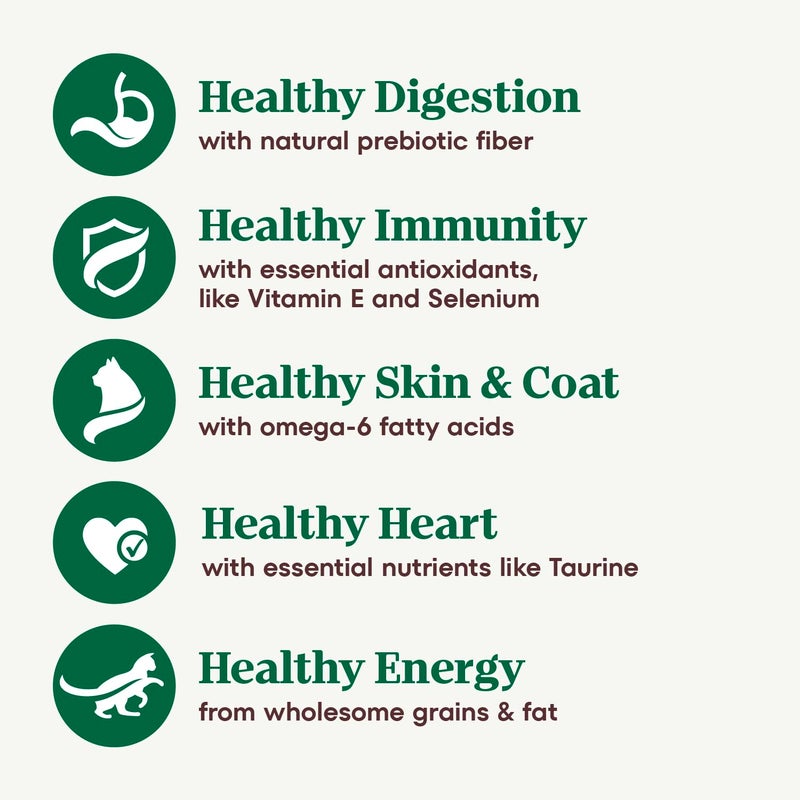 Nutro Wholesome Essentials Senior Dry Cat Food, Chicken & Brown Rice Recipe, 5 lb. Bag - Image 4